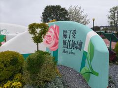 -荷兰花海