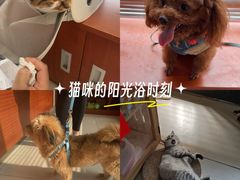 -艾贝尔宠物医院 ·内科全科(梁溪路店)