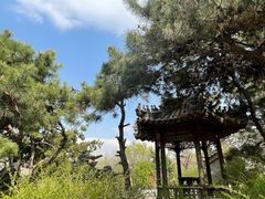 -爱新觉罗皇家博物院