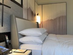 -新加坡乌节希尔顿酒店 (SG Clean)