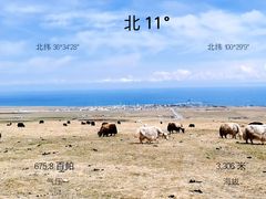 -青海湖二郎剑景区