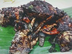 -纽顿熟食中心