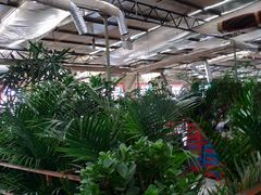 -天发长铁锅炖(王秀村店)