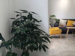 -收获咖啡HARVEST RESERVE(苍山店)