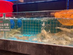 -锦园春香港茶餐厅(西海湾旗舰店)