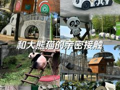 -安吉竹博园