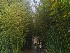 -竹泉村旅游度假区