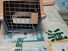 -瑞派宠物医院·24h·骨外科·皮肤科·全科宠物医疗转诊中心(沈阳浑南院)