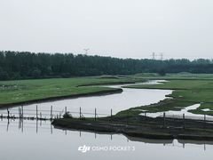 -溱湖国家湿地公园