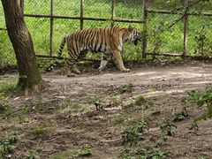 -哈尔滨北方森林动物园