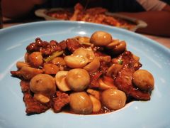 -新世界餐厅(万达店)