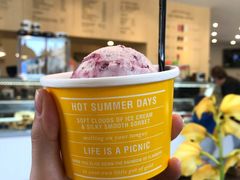 -Patagonia Chocolates(皇后镇店)