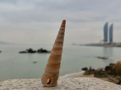 -白城沙滩