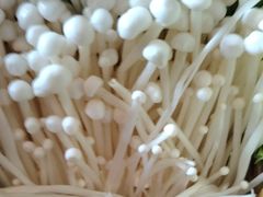 -老员外骨汤火锅(海州古城店)