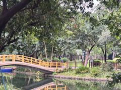 -晓港公园
