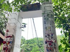 -西双版纳原始森林公园