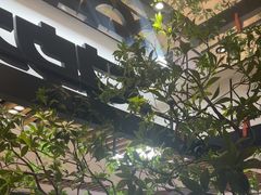 -大神太神·铁板烧(七宝领展广场店)