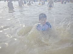 -碧海金沙