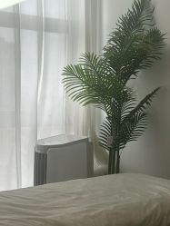 点击看大图 -张小野·专业半永久纹眉
