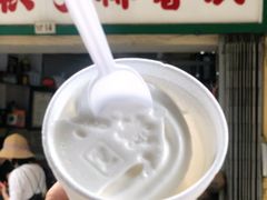 -洪馨椰子