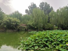 -北京民族园葉子里酒店(鸟巢店)