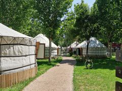 -九十九顶毡房(阜石路店)