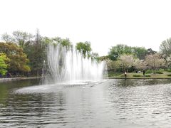 -上海共青森林公园