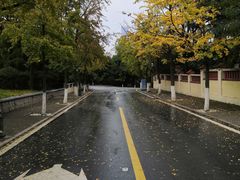 -八大关景区
