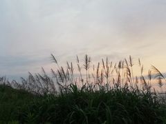 -东极岛景区