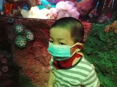 -沈阳海洋探索中心