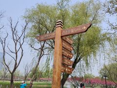 -西海子公园