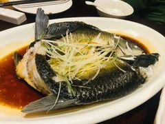 -温汤大酒店餐厅