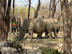 -北京野生动物园