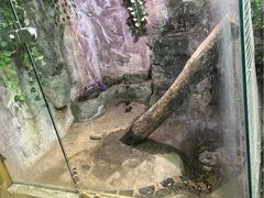-上海大自然野生昆虫馆(东方明珠·爬宠昆虫探索中心)