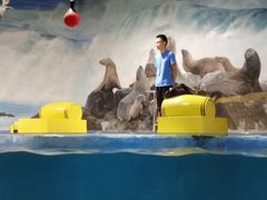 -梦幻海洋王国(吾悦广场张家港店)