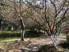 -杭州城北体育公园