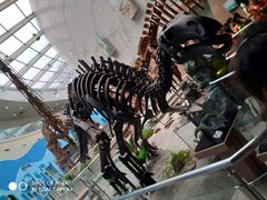 -陕西自然博物馆