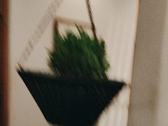 -瓦库茶馆17号(海汇港店)