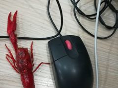 -大拇指龙虾(娄葑文体中心店)