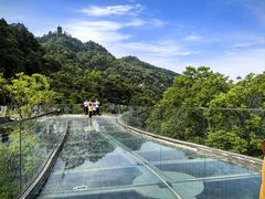 -缙云山景区
