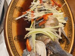 -乡土特色.冷锅鱼.牦牛肉汤锅