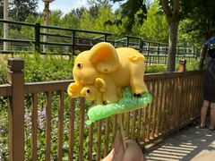 -秦皇岛野生动物园