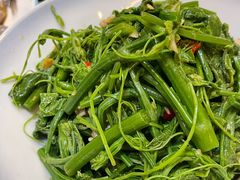 丝瓜尖拌赤贝肉-渔娘渔家丹东海鲜(东直门店)