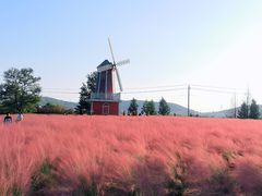 -羊亭河湿地公园