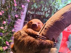 -正佳雨林生态植物园