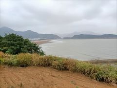 -大京沙滩