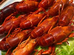 冰镇白灼小龙虾-庆合府重庆大排档(紫都城店)