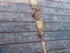 -夸父炸串(青浦奥特莱斯店)