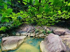 -广州白江湖森林公园