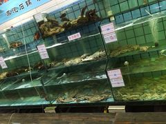 水产区-海岛渔村大酒店(云霄路店)